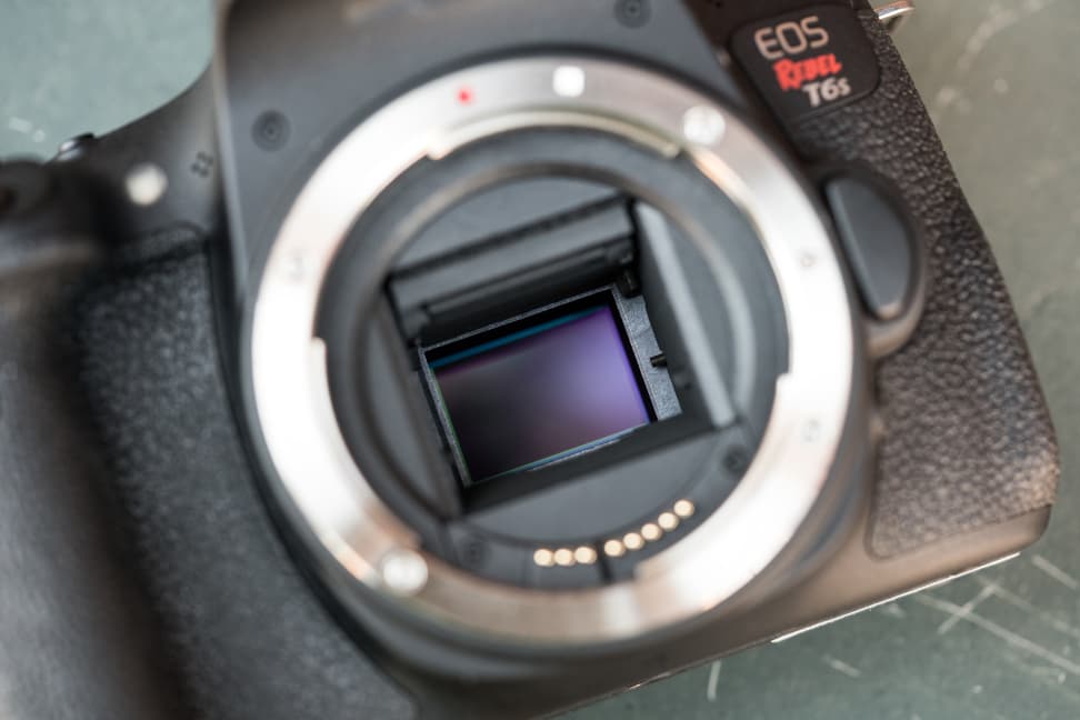 Canon Rebel T6s Mirror