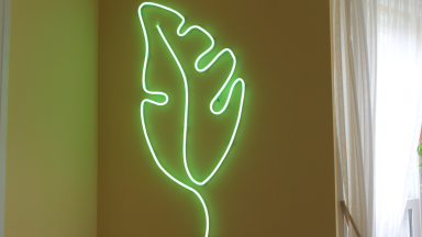 Green leaf-shaped neon light mounted on wall inside of home next to curtained window.