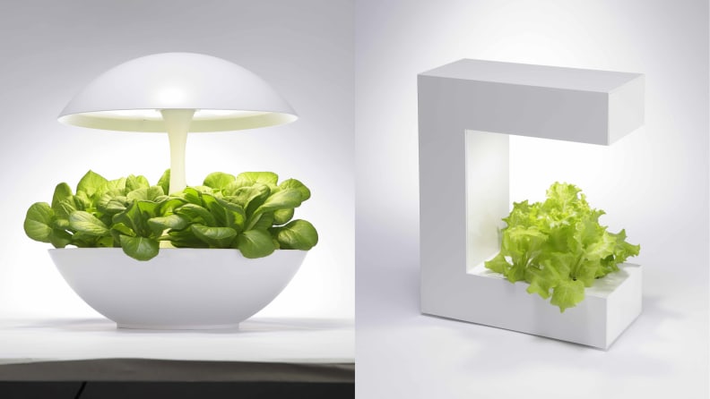 Akarina 01 and Akarina 14 Planters