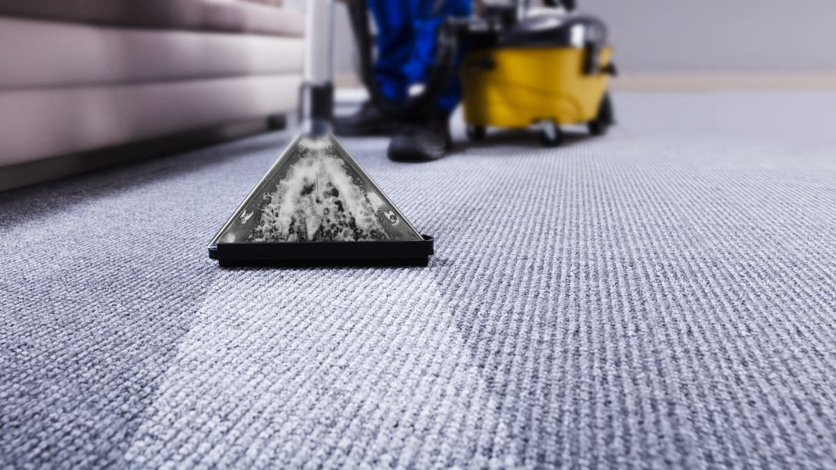 How to deep clean your carpets - Reviewed
