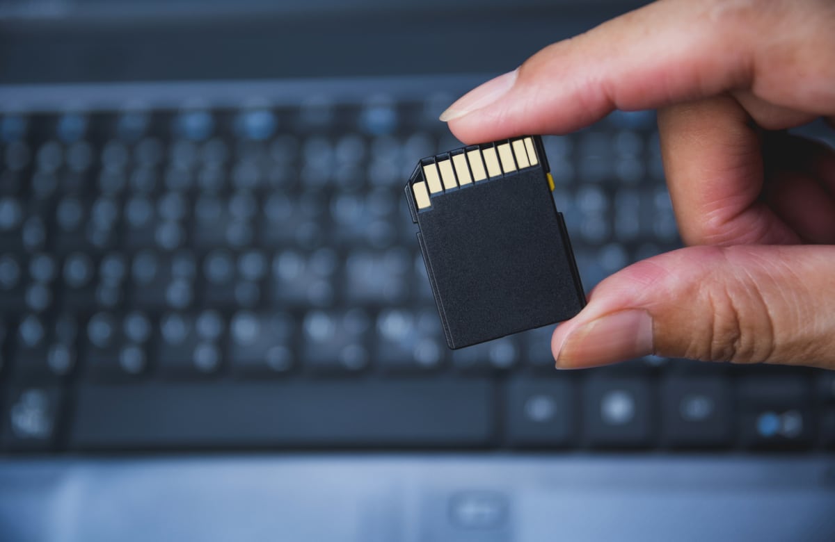 The Best SD Cards of 2019 - Reviewed Cameras