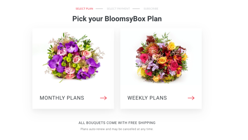 Screenshot of the BloomsyBox home page