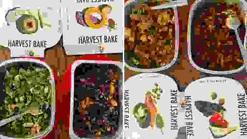 Daily Harvest Harvest Bakes samples