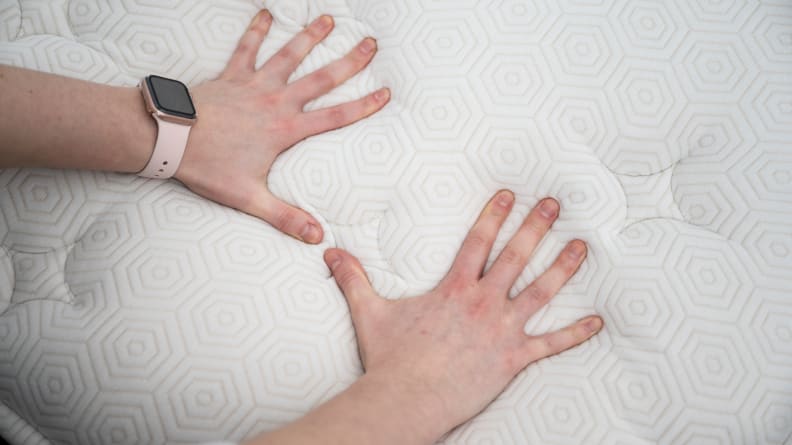 hands pressing on bear