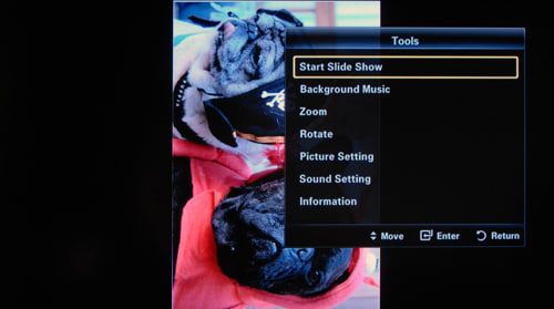 Local Media Playback 1 Photo