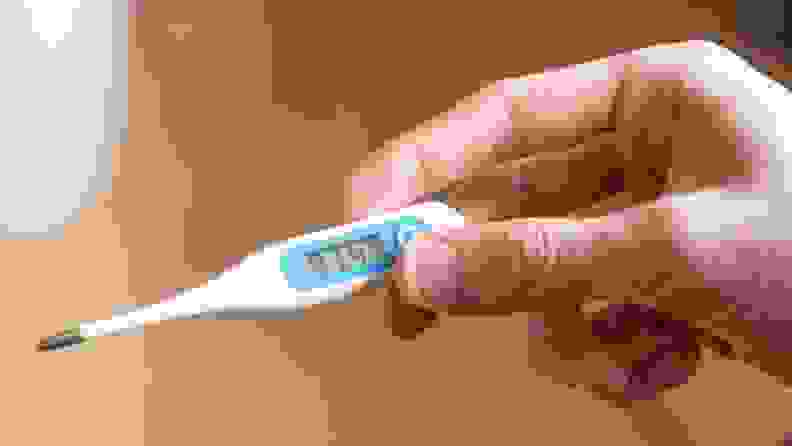 Hand holding up blue and white thermometer.