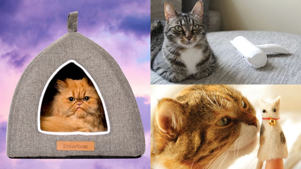 40 amazing gifts for cat lovers and owners