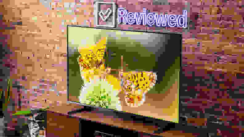 The TV on display at the Reviewed labs with a close-up shot of a butterfly on the screen.