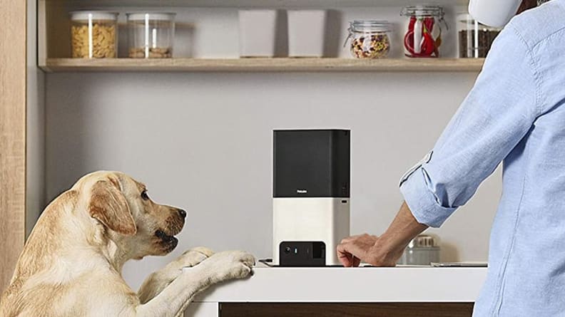Petcube Bites 2