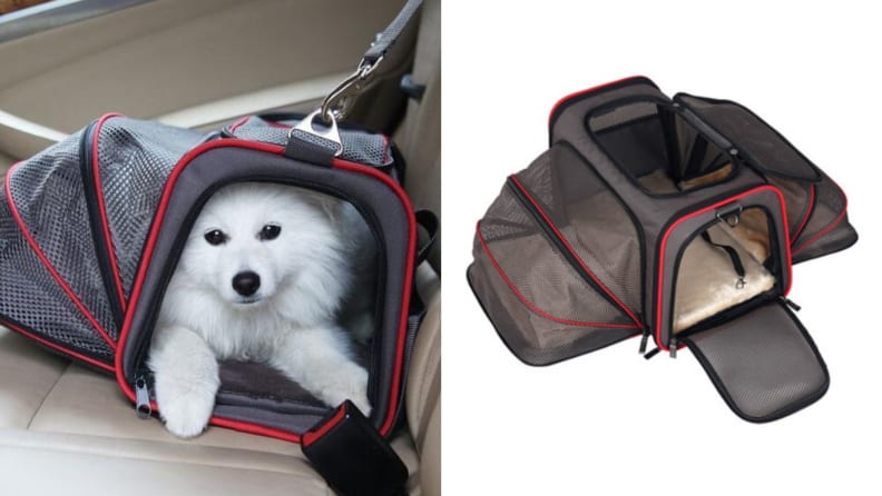 The Best Travel Carrier for Cats and Small Dogs