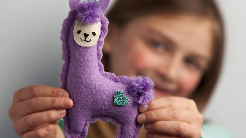Homemade craft