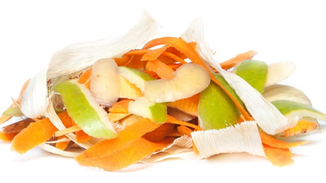 Things you should never put in your garbage disposal