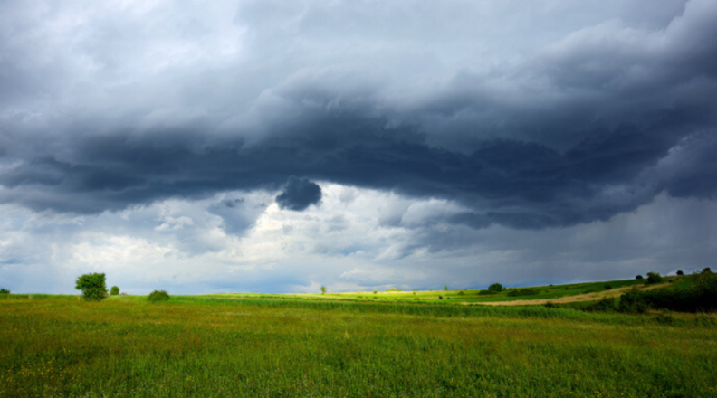 A rainstorm with dark clouds moves in over a large grassy field.