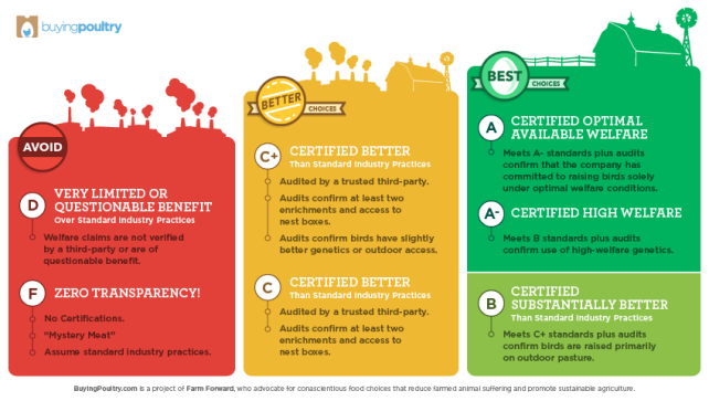 The BuyingPoultry Grading System