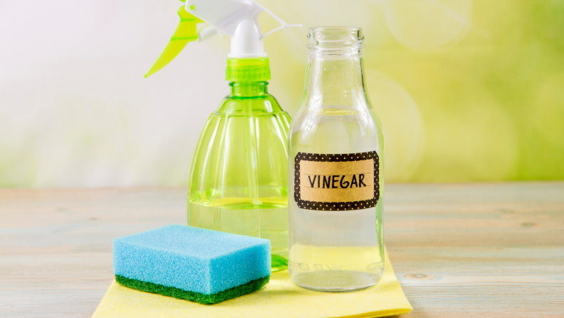 Green spray bottle, next to bottle of vinegar, and green and blue sponge.
