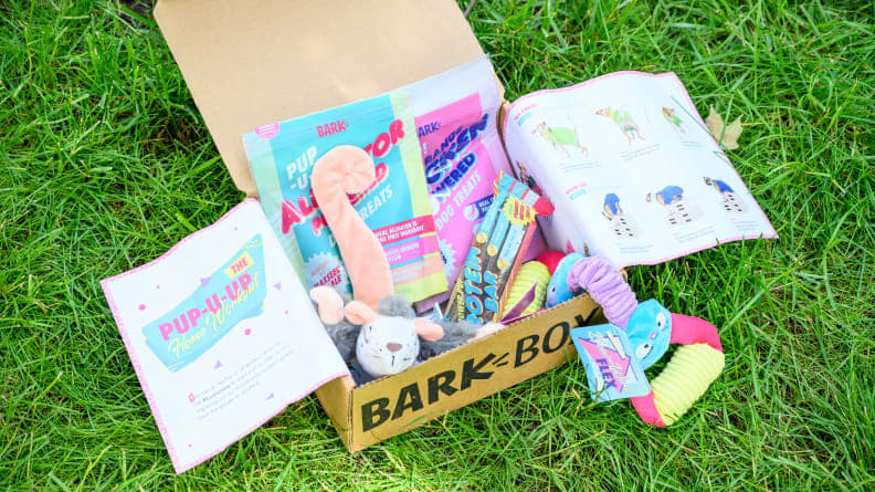 BarkBox