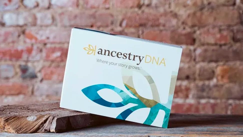 AncestryDNA kits are marked down to just $59 right now