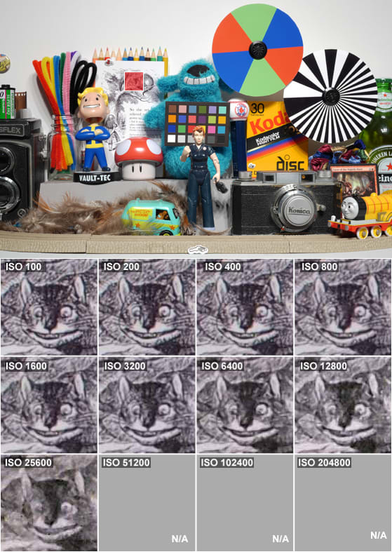 Alice.jpg