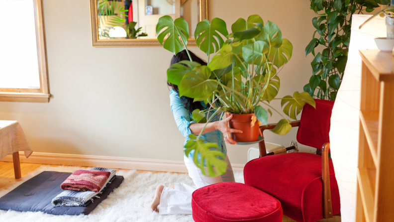 woman moving a large plant