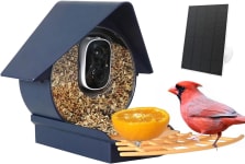 I tested a Bird Buddy clone product, the AUXCO smart bird feeder. The grass  isn't always greener… : r/BirdBuddy