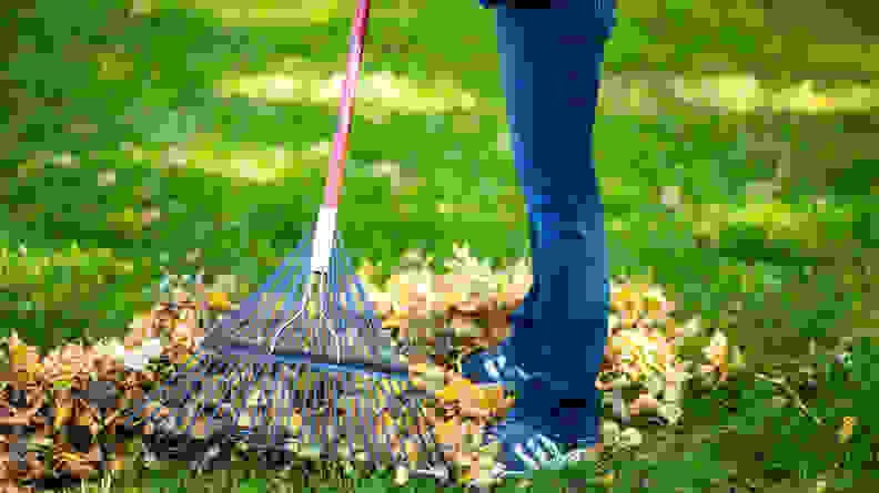 Girl raking a lawn.