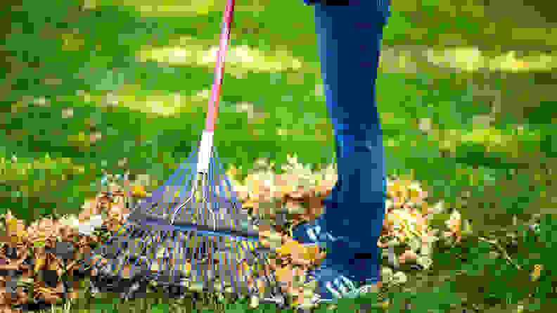 A person rakes a lawn with a Truper Tru Tough leaf rake.