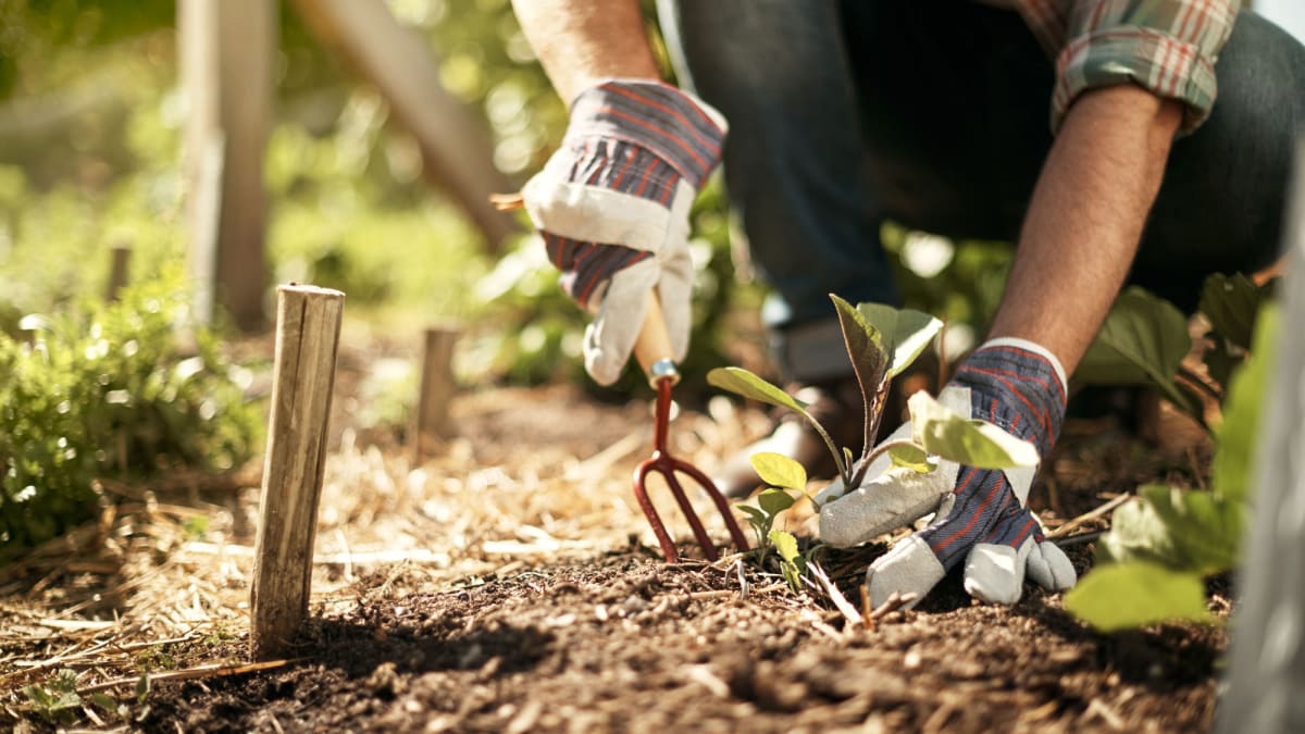 12 Pairs ARCO White Dotted Grip Gloves,Gardening,Work FREE P&P DIY All Sizes 