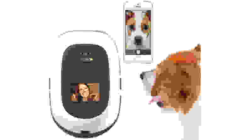 Tech products for your dog