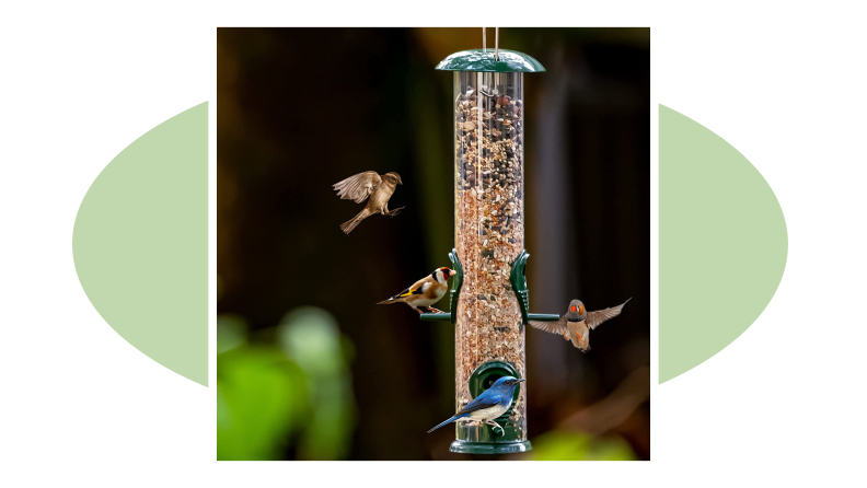 Birds perching on the Gray Bunny Metal Bird Feeder.