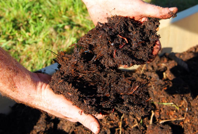 Finished Compost