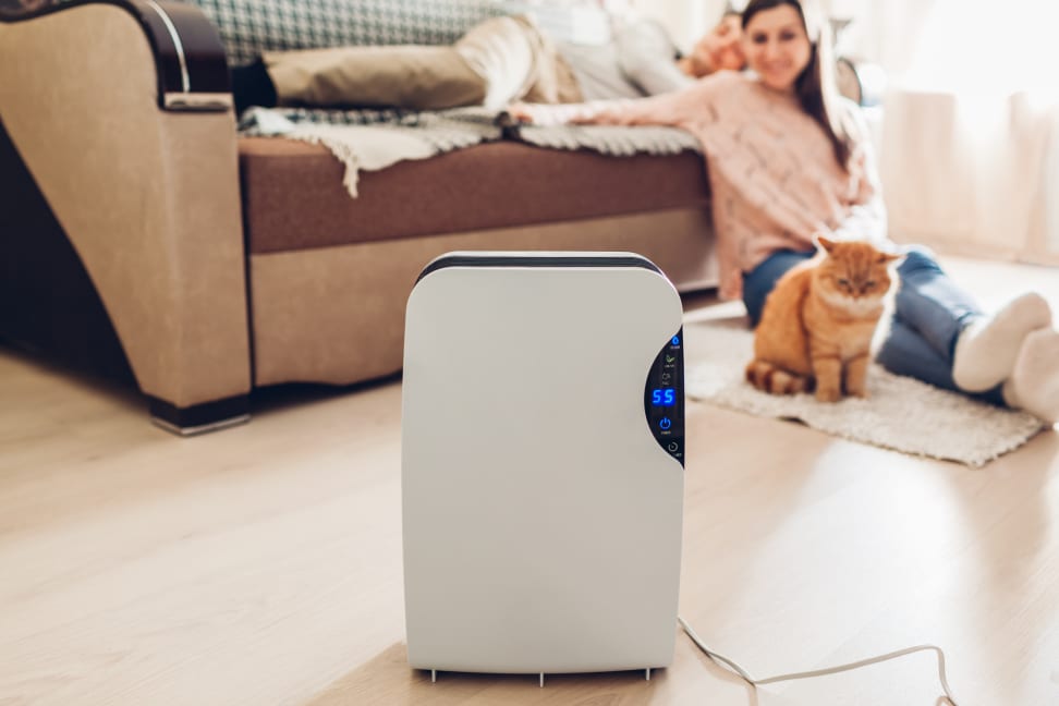 Stand-alone dehumidifier with a person and a cat in the background