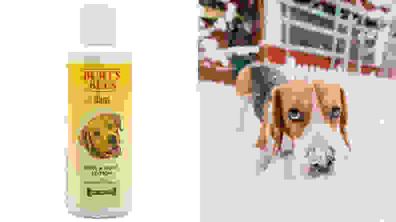 Burt's Bees Paws and Nose Lotion