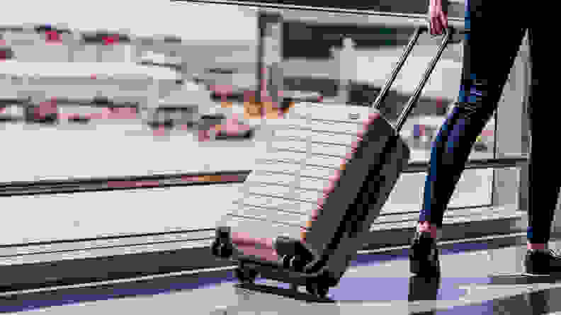 Buy luggage in March to save money