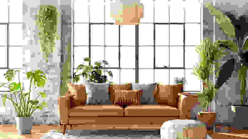 Assorted plants in living room with brown leather couch