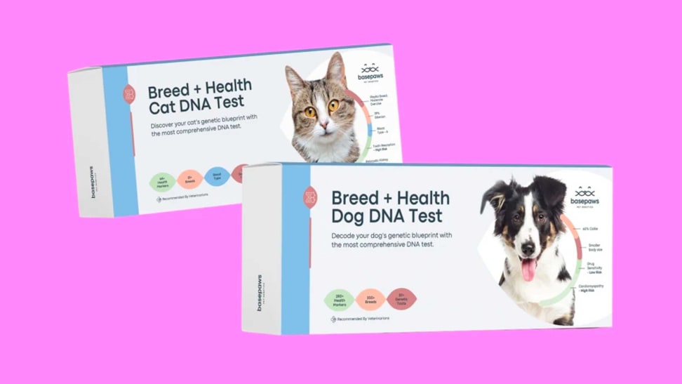 Basepaws Cat DNA kit and a dog DNA kit.