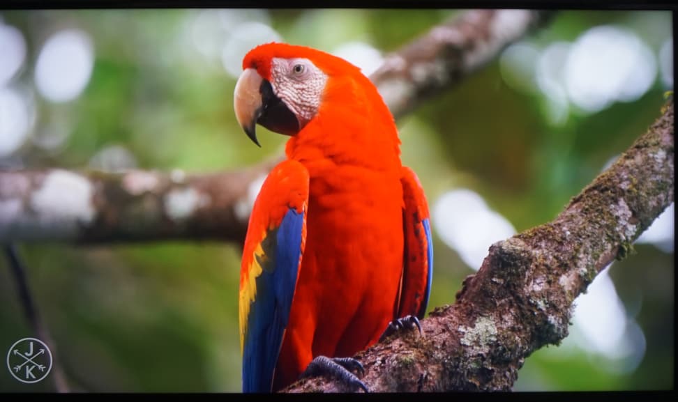 Vizio-E65-YouTube-4K-2