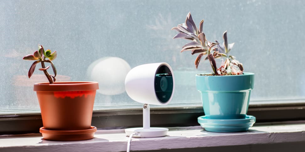 Nest Cam IQ