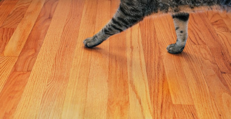 hardwood floors