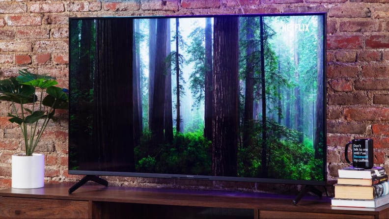 A Sony X80K television shows a forest landscape on display.