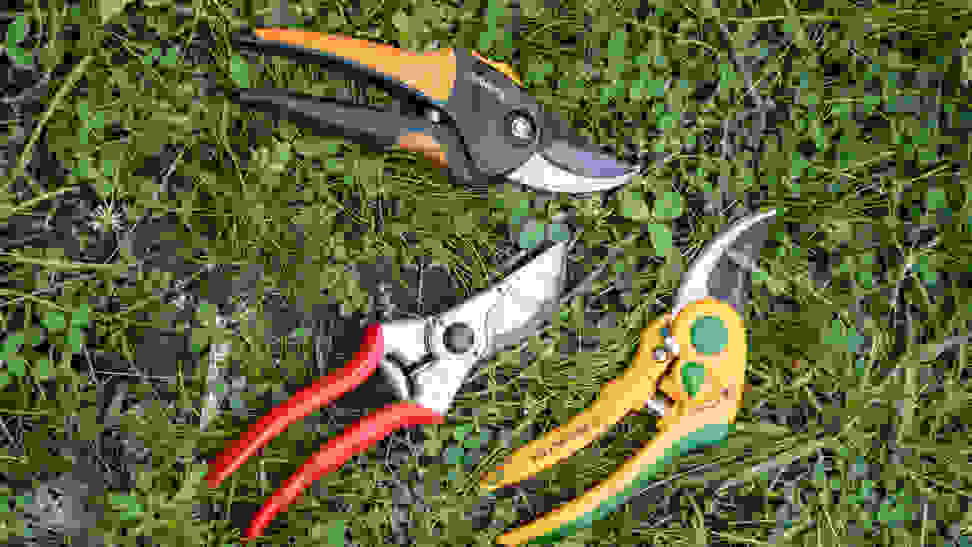 the best pruning shears