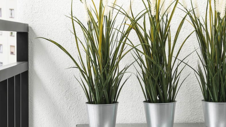 18 fake plants that don't actually look fake - Reviewed