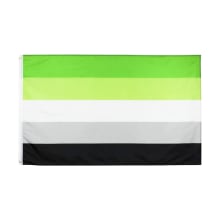 Product image of Aromantic Pride Flag