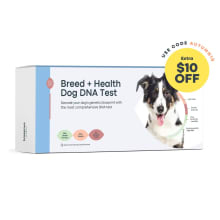 Product image of Basepaws shows you what makes your dog tick