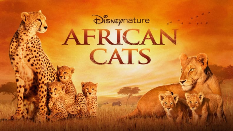 African Cats title card