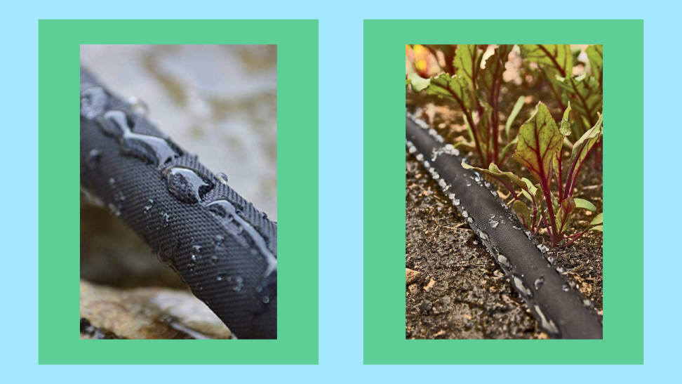 Shot of a small garden and a close-up of a soaker hose turned on set against a blue and green background.