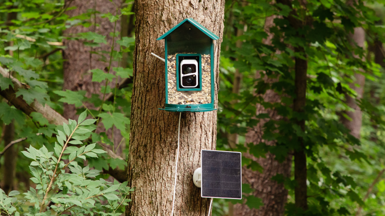 A green bird feeder is mounted to a tree