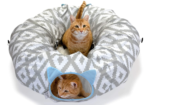 A cat tunnel with a bed in the center. One cat sit on the bed and one cat peers out of the tunnel.