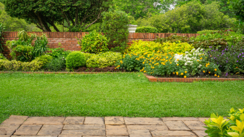 Lush back yard with trimmed grass and flowers