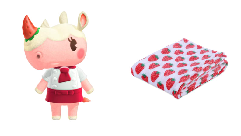 Merengue next to a colorful blanket