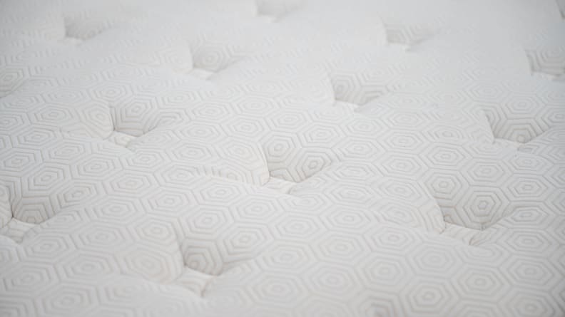 closeup of the Bear's white surface